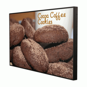 Large Format Display Monitors