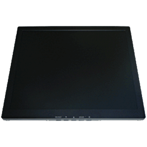 17" LCD Monitor