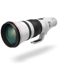 Canon EF 600mm f/4L IS III USM EF Mount Lens