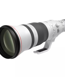 Canon RF 600mm f/4L IS USM RF Mount Lens