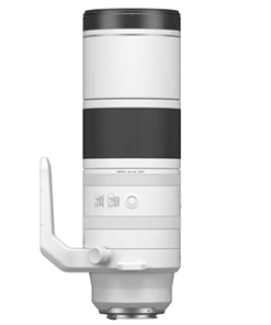 Canon RF200-800 f/6.3 - 9 IS USM RF Mount Lens