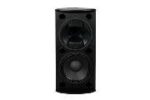 VX12.2QB - TANNOY 12"DC+12"BASS BLACK 3 VX12.2QB