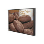 dsd42 he 500 nits 42 lcd monitor aodsd42 he