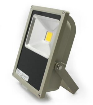 LEDware LED Floodlight 30W (2700 lm) Cool White Flex & Plug