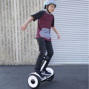 Alternative view of Segway mini LITE