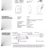 IMG 20251001 WA0001