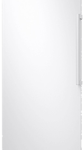 Samsung 1-Door Freezer 323L - White