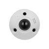 DH IPC EBW81242 AS S2