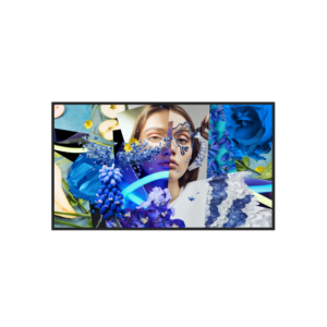 Hikvision DS-D6050UN-DP