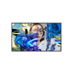 Hikvision DS-D6065UN-DP 2 DS D6065UN DP