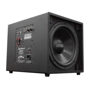 Alternative view of 12″ Powered Subwoofer Supernova (MKIV-12) – Earthquake Sound