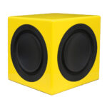 Earthquake p63Yellow